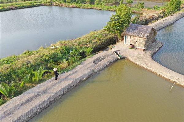 梦见泥塘是什么意思（梦见泥巴是什么预兆）