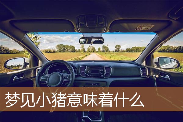 梦见小猪意味着什么预兆(梦见小猪是什么预兆)