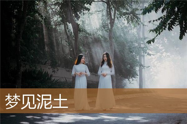 梦见泥土是什么意思（梦见土是什么预兆）