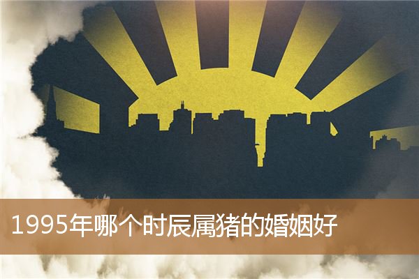 1995属猪什么时候有婚姻，95年的猪什么时辰出生好