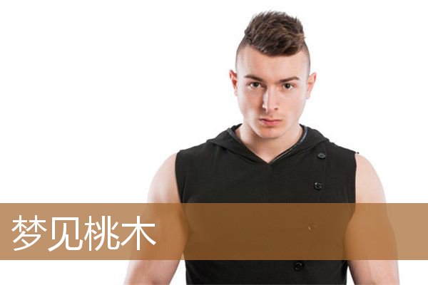 梦见桃木是什么意思（桃木雕刻的小人什么意思）
