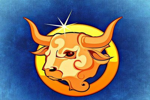 怎样征服金牛男朋友（瞬间吸引金牛男的打扮）