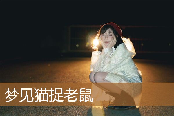 梦见猫捉老鼠是什么征兆（梦见猫逮老鼠并咬死）