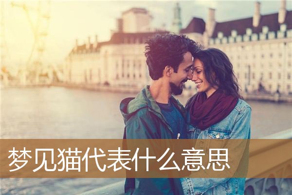 梦见猫代表什么意思呢（原版周公解梦猫）