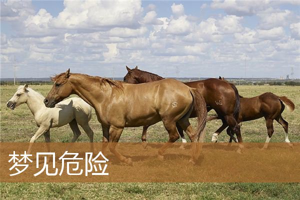 梦见危险的场景（梦见自己的处境很危险）