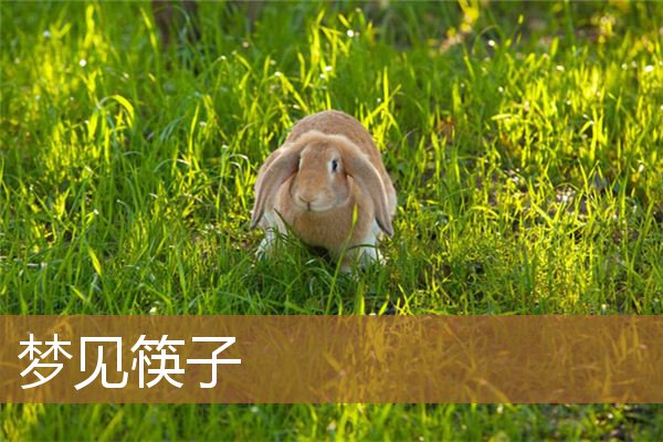 梦见筷子是什么意思（梦见好多筷子预示着什么）