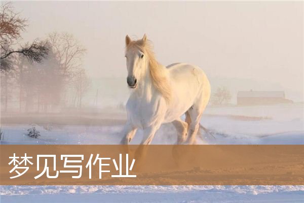 梦见写作业是什么意思（梦见被流氓追赶是什么意思）