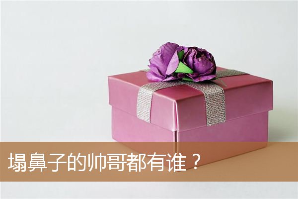 塌鼻子的帅哥都有谁啊，男生塌鼻子一定丑吗