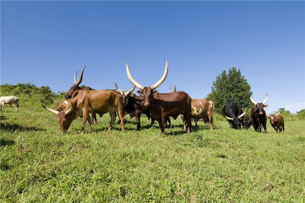 今年24岁哪年出生的，为什么说24岁是一道坎
