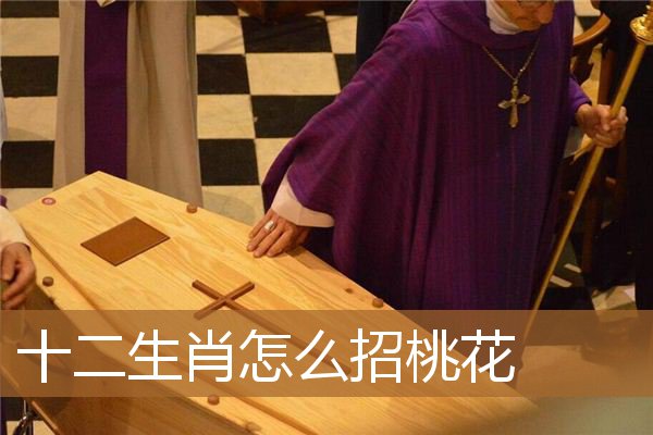 十二生肖怎么招桃花运的，什么动物招桃花