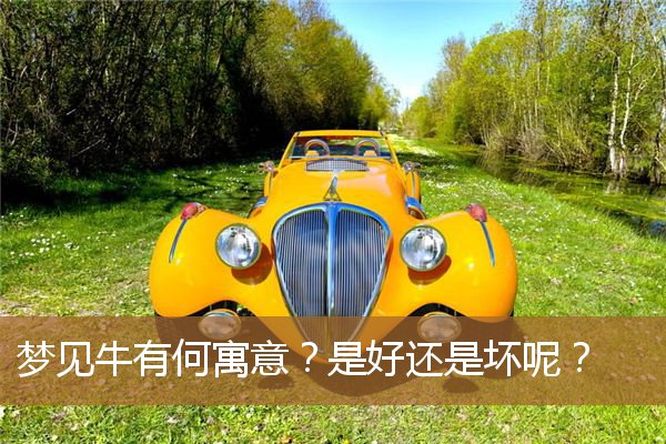 梦见牛有何寓意解梦（梦到许多牛的征兆）