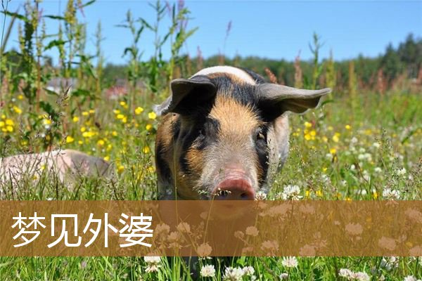 梦见外婆死了是什么意思（女人梦到已故的外婆还活着）