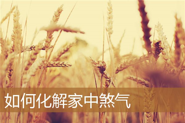 如何化解家中煞气太重,家里动物死是替人挡灾 如何化解家中煞气太重,家里动物死是替人挡灾