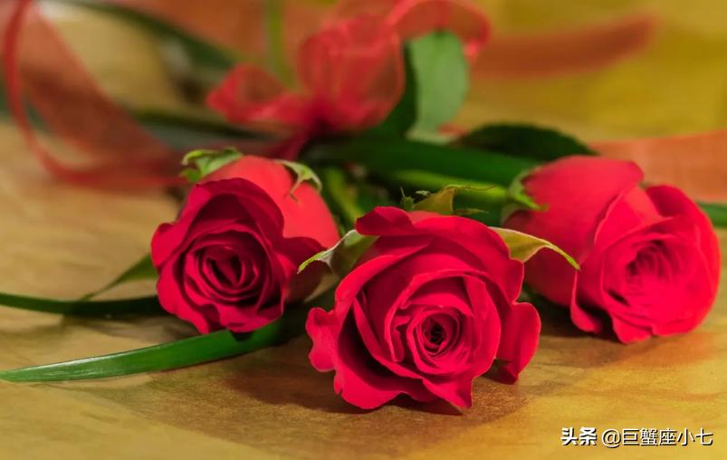 唯一能治住巨蟹的星座（唯一可以虐摩羯的星座）