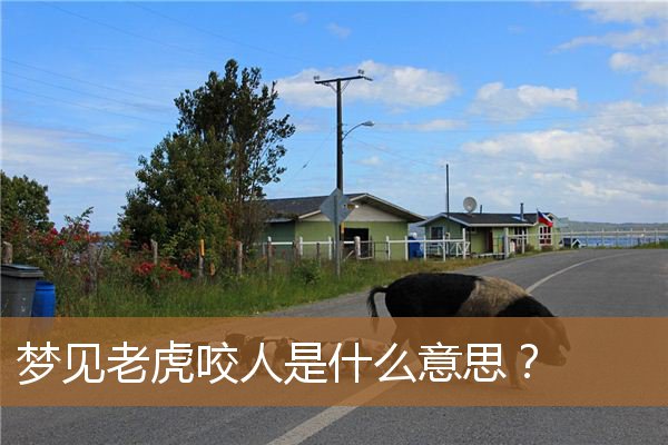 梦见老虎咬人是什么意思（梦到老虎咬人但没咬我）