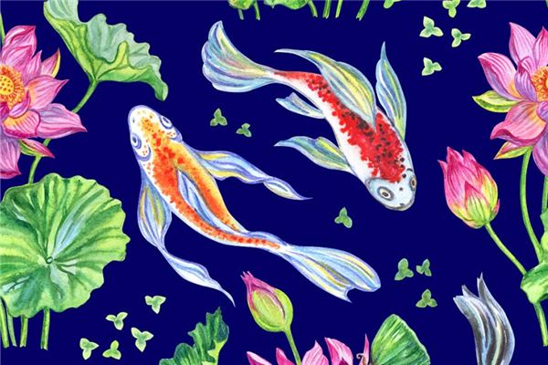 墙上挂鱼有什么讲究吗，一进门墙上挂鱼的画