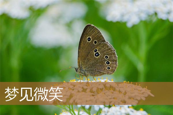 梦见微笑是什么意思（梦见自己微笑着看别人）