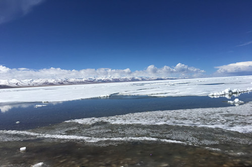 射手座注定辜负的星座（能降住射手座的星座）