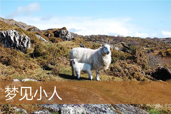 梦见小人是什么预兆（梦见小人使坏是什么预兆）