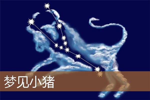 梦见小猪仔什么意思（男人梦见小猪仔是什么意思）