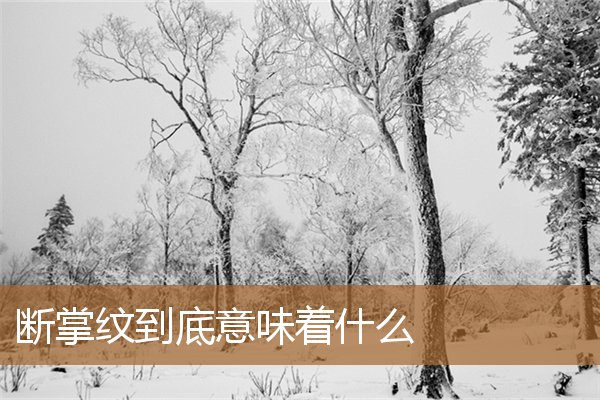 断掌纹到底意味着什么意思（断掌纹的人命运怎么样）