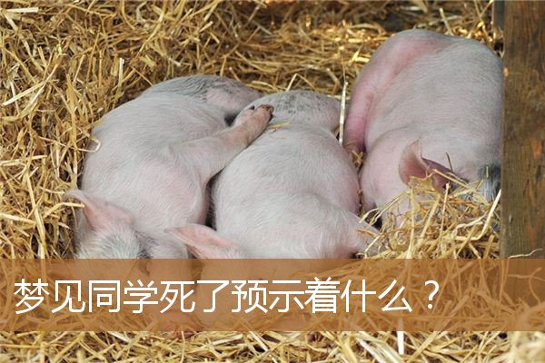 梦见同学死了预示着什么呢（梦见从不联系的老同学）