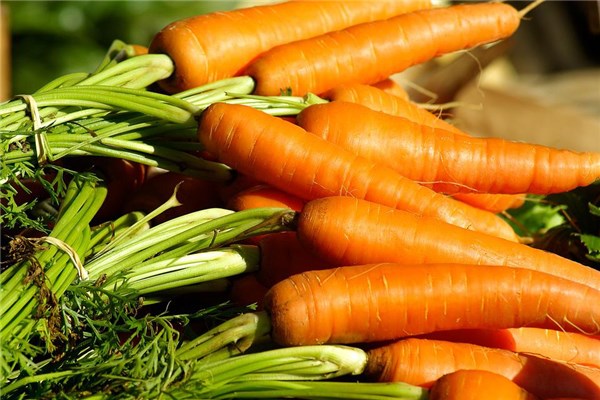 梦见萝卜菜是什么预兆（梦见萝卜青菜什么意思）