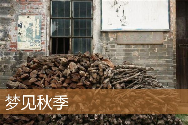 梦见秋季丰收景象（梦见很漂亮的秋天景色）