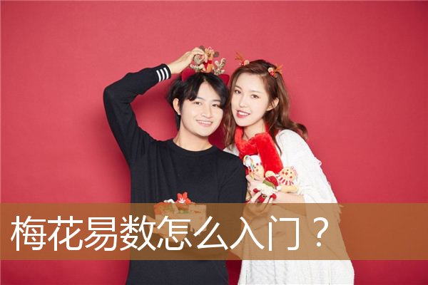 梅花易数如何入门（梅花易数自学入门）