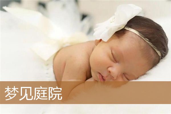 梦见庭院干净宽大(梦见自己家有很大的庭院)