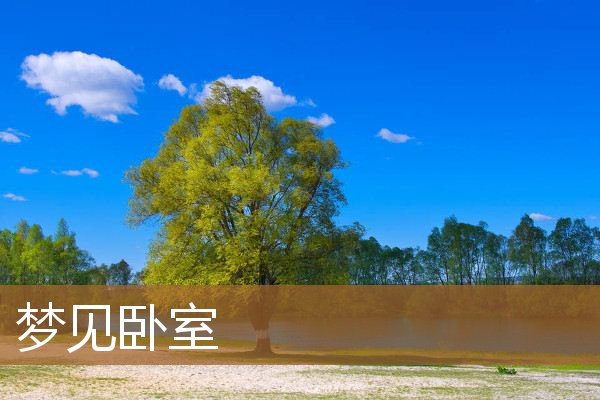 梦见卧室房顶漏水（梦见家里多了一个卧室）