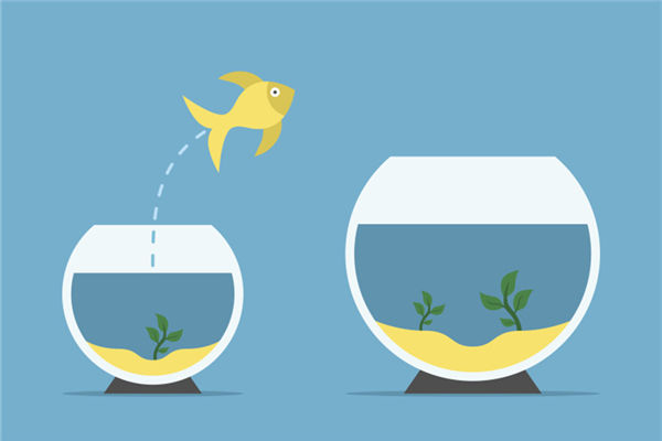 家里鱼缸放在哪里招财，鱼缸放家里哪个位置招财