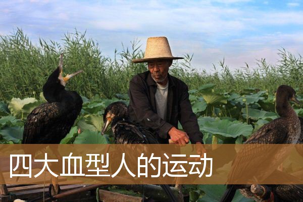 四大血型人的运动形式,运动员最好的血型 四大血型人的运动形式,运动员最好的血型