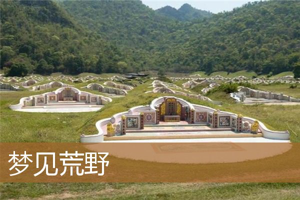 梦见荒野求生（梦见自己在荒山野外）