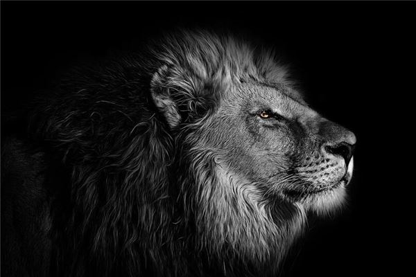 家里摆什么摆件不吉利，家里摆什么摆件不吉利