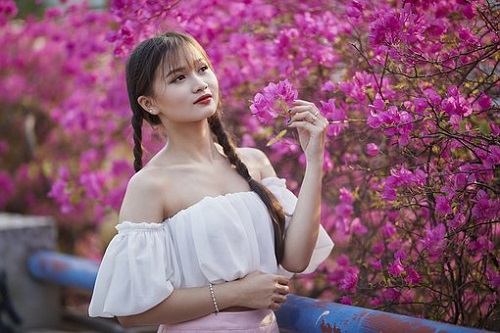 狮子座2022年学业运势（狮子座学业运势2022）