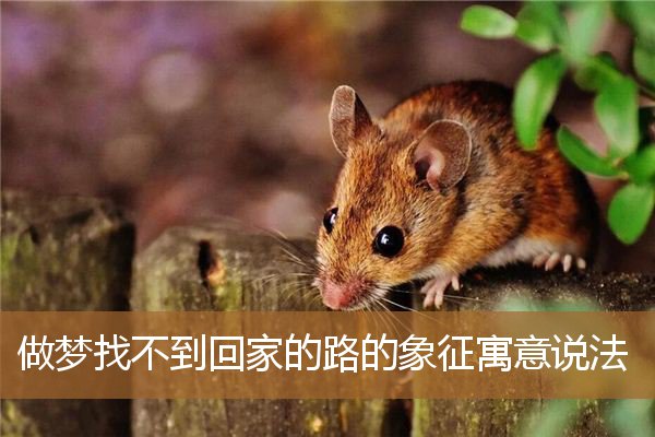 做梦找不到回家的路啥意思,找不到回家的路了 做梦找不到回家的路啥意思,找不到回家的路了