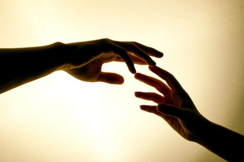 狮子需要什么样的爱情呢（狮子座对爱情是怎样的）