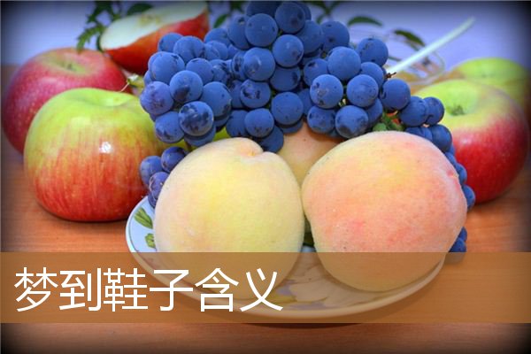 梦见鞋子寓意（梦见鞋子代表什么预兆）