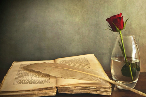 2020年处女财运（处座女被伤到的表现）