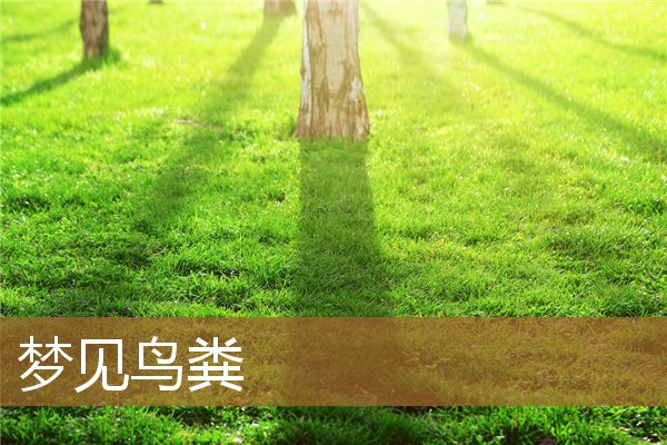 梦见鸟粪掉在自己头上（梦见鸟粪什么预兆）