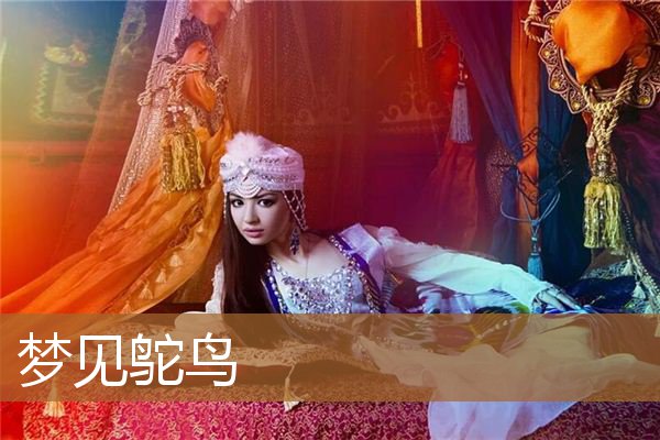 梦见鸵鸟是什么预兆（男人梦见鸵鸟是什么预兆）