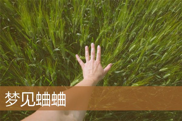 梦见蛐蛐代表什么预兆（梦见蛐蛐叫是什么意思）