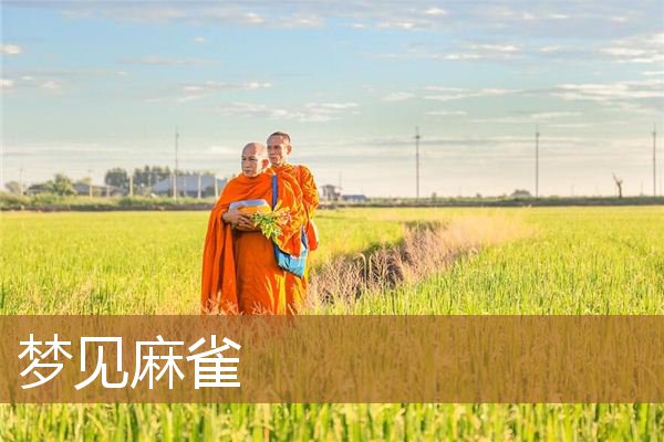 梦见麻雀是什么意思（梦见麻雀是什么预兆）