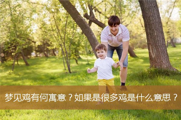 梦见鸡有何寓意解梦（自己梦见鸡是什么意思）