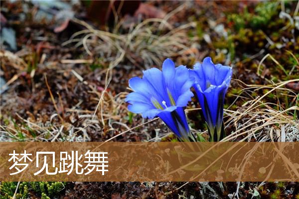 梦见跳舞是什么意思（梦见自己和一群人跳舞）