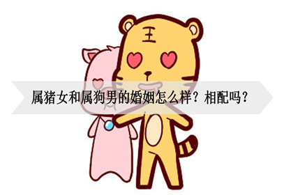 属猪女和属狗男的相配吗（94狗和95猪合婚吗）