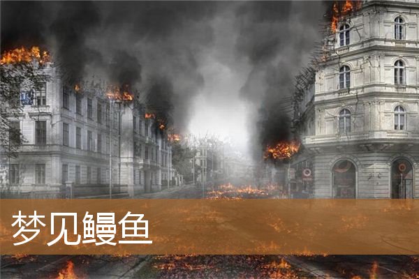 梦见鳗鱼追着我咬（梦见一条像蛇那么大的鳗鱼）