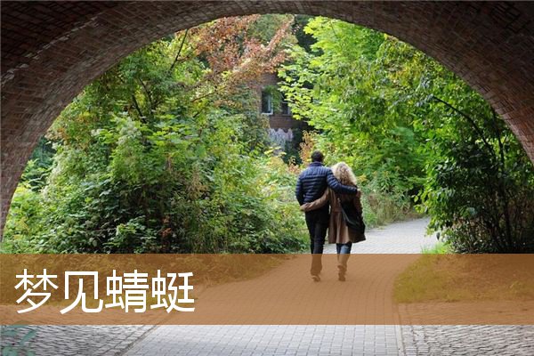 梦见蜻蜓是什么意思（梦见自己用手抓蜻蜓）