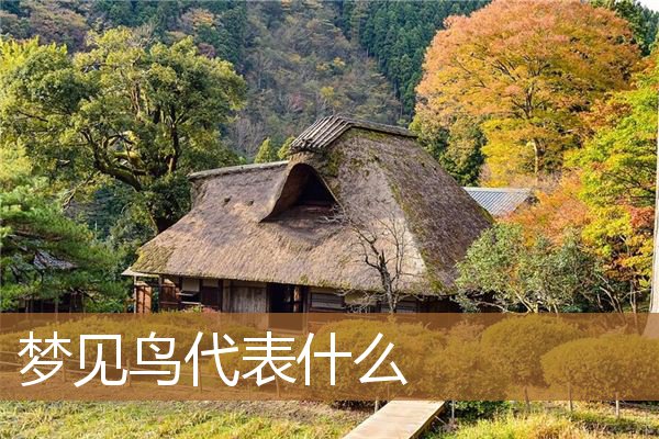 梦见鸟代表什么生肖（男人梦见鸟是什么情况）